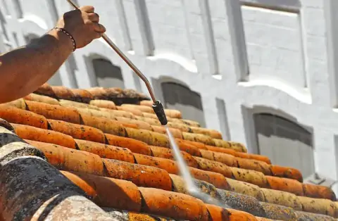 Nettoyage de toitures - Sèvremoine